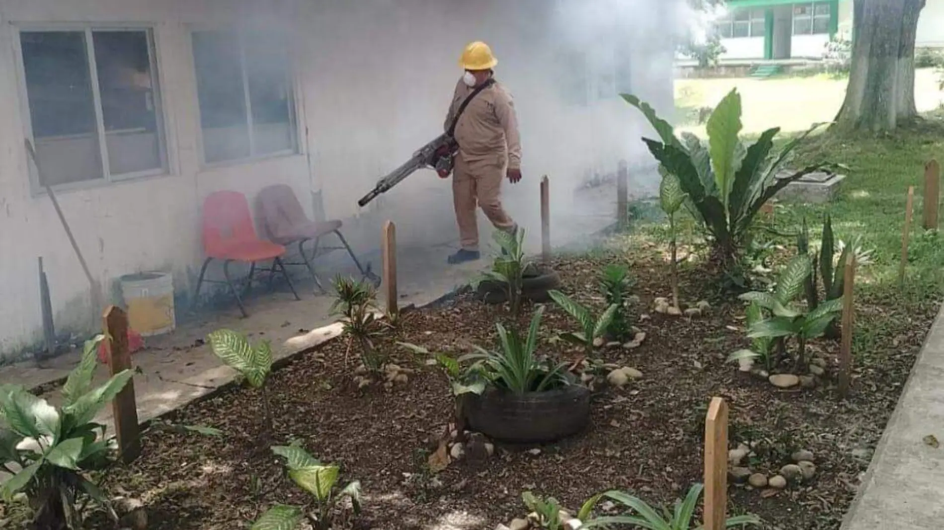 dengue fumigación